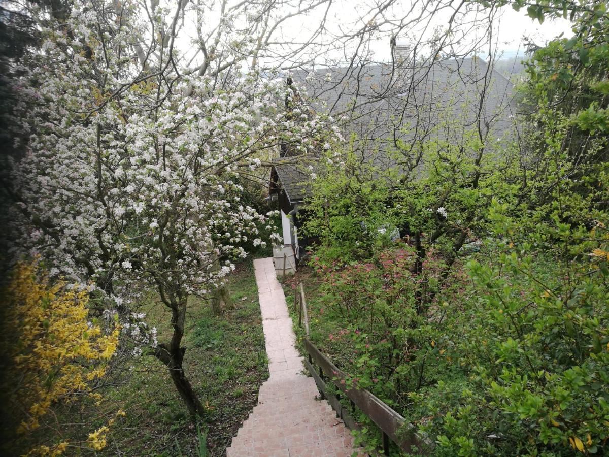 Holiday House Cervena Veza Pieszczany Zewnętrze zdjęcie