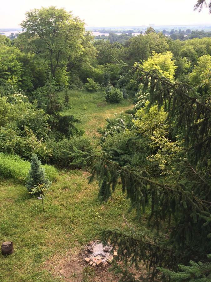 Holiday House Cervena Veza Pieszczany Zewnętrze zdjęcie